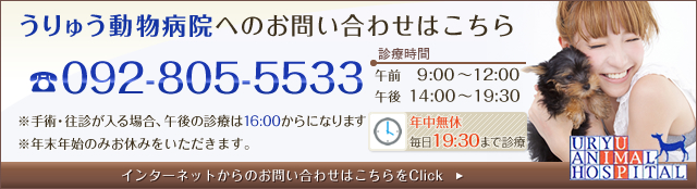 問い合わせバナー