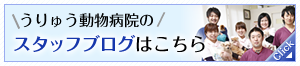 スタッフブログはこちら