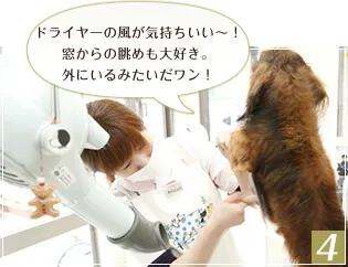 全面ガラス張りのトリミング室で開放感を感じつつ