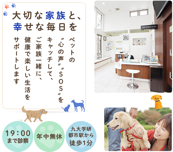 大切な家族と幸せな毎日を