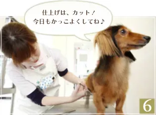 ワンちゃんの毛質や個性にあわせて